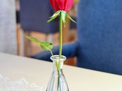 -伊斯坦布尔土耳其清真咖啡餐厅