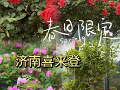 -济南喜来登酒店