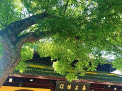 -西园寺素食(西园弄戒幢律寺店)