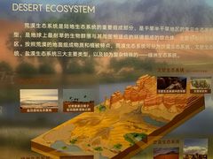 -恩格贝生态旅游区