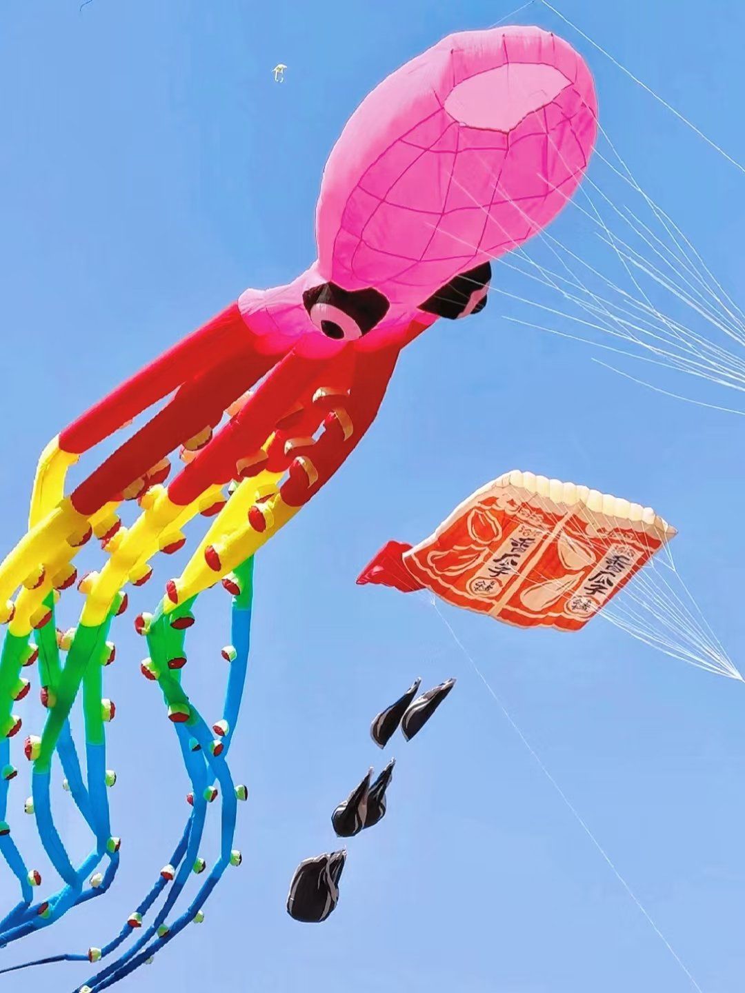 彩虹风筝飞满天