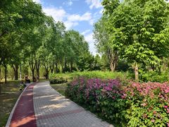 -坝河休闲公园