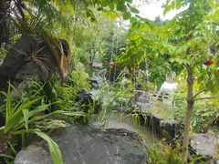 -花溪雨·森林餐厅(石基店)
