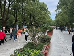 -溱湖国家湿地公园