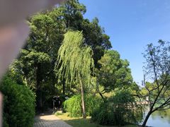 -无锡蠡湖国家湿地公园-蠡园