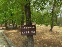 -红螺寺