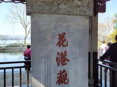 -西湖外事游船(花港观鱼码头)