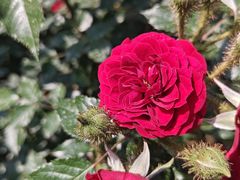 -人民公园(罗湖区)