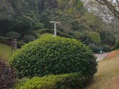 -桃花岭景区