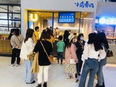 -春丽小马(济南恒隆广场店)