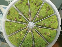 -蟹天蟹地农家菜·阳澄湖大闸蟹(浅水湾店)