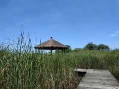 -梁鸿国家湿地公园