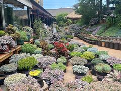 -山菌美食苑(振兴路店)