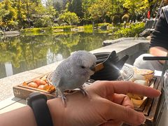 -铁像寺水街