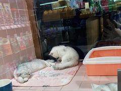 -FAELING PETS美天灵宠物(富力广场店)