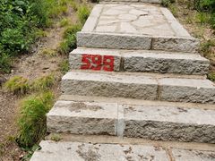 -金龙寺国家森林公园