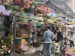 -溪岸路花鸟市场