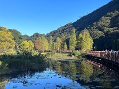 -广州市石门国家森林公园