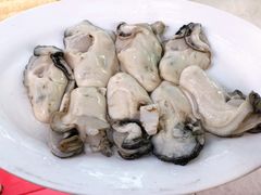 生蚝-花苑美食横琴生蚝火锅(拱北粤华路店)