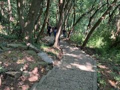 -上海佘山国家森林公园天马山园