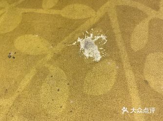 最脏最恶心的高档型酒店！千万别来了