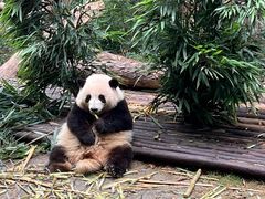 -成都太古里IFS国金中心亚朵X酒店