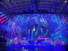 -海合安武汉极地海洋公园