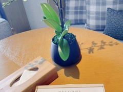 -海棠湾仁恒皇冠度假酒店-270°海景餐厅