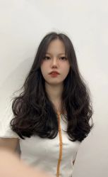 -YESIDO椰岛造型