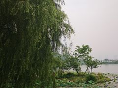 -梁鸿国家湿地公园