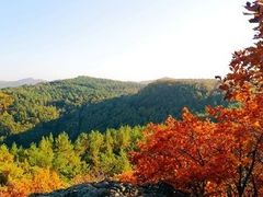 -玉泉威虎山森林公园