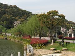 -龙寺生态园