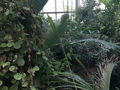 -呀路古热带植物园-恐龙馆