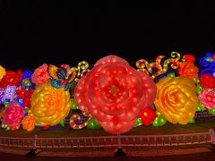 -第35届青岛国际啤酒节