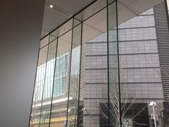 -Apple零售店(华贸购物中心店)