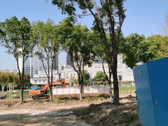 -后襄河公园