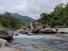 -海南热带雨林国家公园吊罗山景区