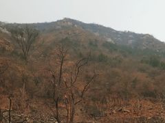 -灵溪风景区