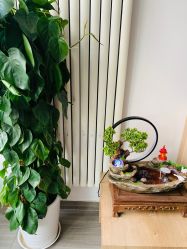 点击看大图 -L.MJ轻奢皮肤管理中心