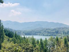 -黄巢水库