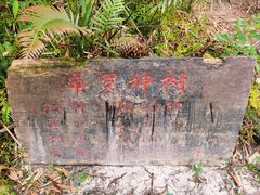 -海南热带雨林国家公园吊罗山景区