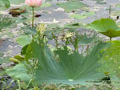 -庆江南江南菜(琴湖溪里花园城店)