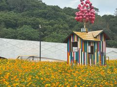 -野狸岛