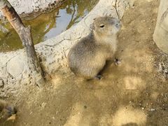 -杭州野生动物世界