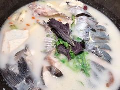 -鲜潭蒸汽石锅鱼(五道口购物中心店)