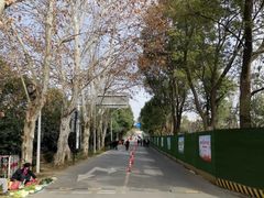 -东湖落雁景区