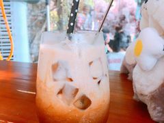 冰拿铁-柴犬高等学院·狗咖·柴犬售卖·宠物训练