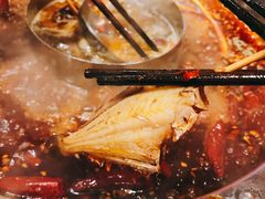 -谭鸭血老火锅(漳州路店)