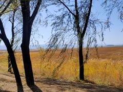 -野鸭湖国家湿地公园