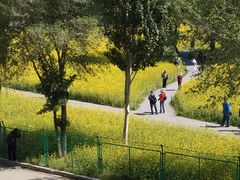 -长白岛森林公园